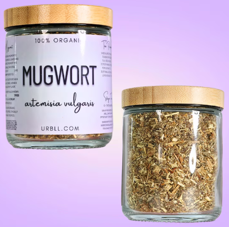 Organic Mugwort Tea – Natural Herbal Sleep Aid & Digestive Support