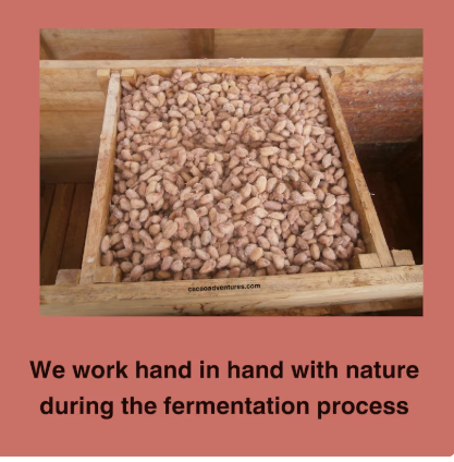 Artisan Ceremonial Grade Cacao Paste Peru