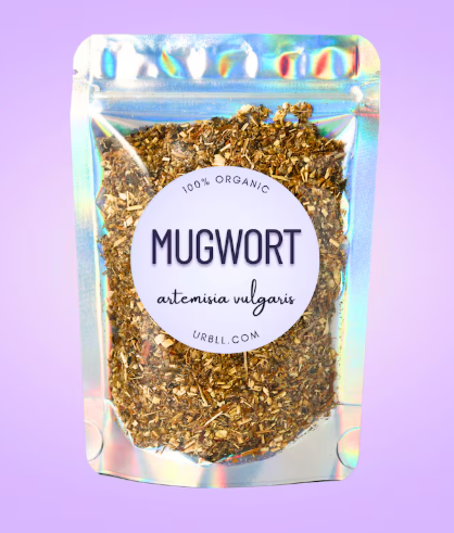 Organic Mugwort Tea – Natural Herbal Sleep Aid & Digestive Support