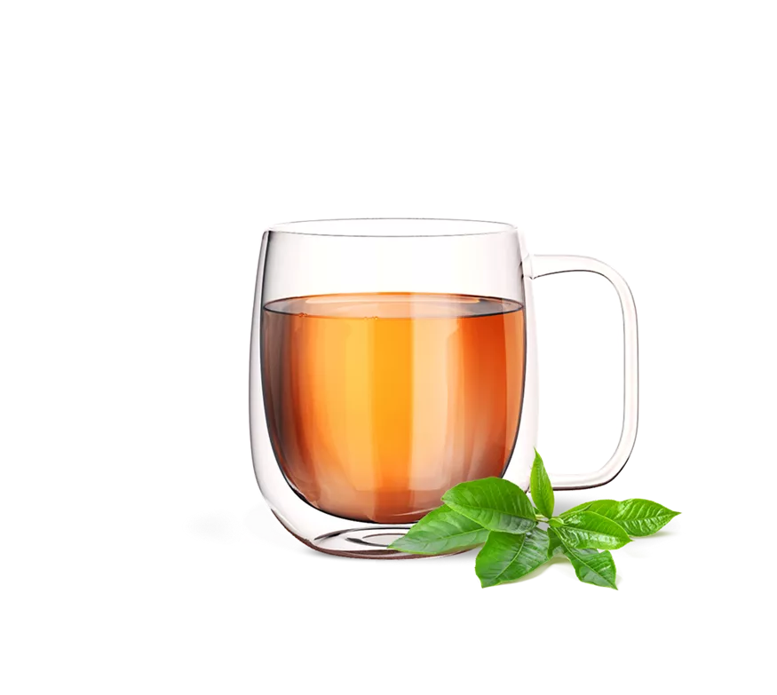 Herbal Tea Concentrate: Original
